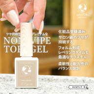 月曜限定★10%OFFクーポン出現★最高品質！ トップジェル ノンワイプ ジェル クリア【 earth ノンワイプ…