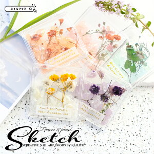 Ȃ15%OFFN[|WFlC y t[lCp[c Sketch S5 z hCt[ W ԍ lC p[c I[   vU[uht[ lC lC