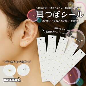 [\I ڃV[ ^Cv AM[Ή Iׂ 20 40 60 100 V[  c{V[  c{ XeX  ◱   NObY ڃWG