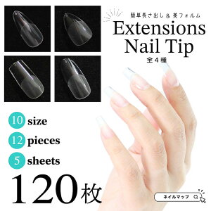 o lC`bv y GNXeVlC`bv@S4 z NA NAlC`bv  t p  lC WF ZtlC lC}bv