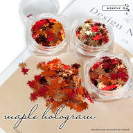 火曜限定★5点以上で10%OFF★ジェルネイル 【 メープル 紅葉ホログラム 全3種 】 ホログラム 紅葉 カエデ…