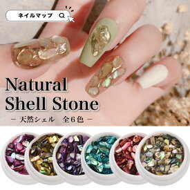 火曜限定★5点以上で10%OFF★天然 シェル 【 ナチュラルシェルストーン 全6種 】 立体 ネイル ネイルアート ジェルネイル デコ レジンクラフト レジン封入 ハンドメイド アクセサリ