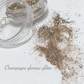 ノヴェル シャンパングロリアスグリッター ラメグリッター ノヴェル NOVEL Champagne glorious glitter1.6g