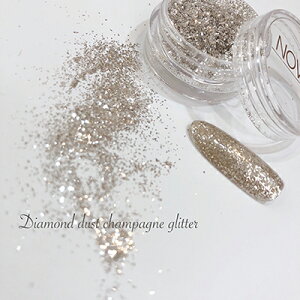 �m���F�� �_�C�������h�_�X�g �V�����p���O���b�^�[ �����O���b�^�[ �m���F�� NOVEL Diamond dust champagne glitter 1.2g