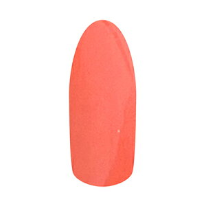 [WF J[WF NV[Y C02  3g