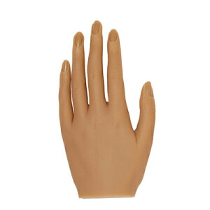 KOKOIST(RRCXg) }Cnhf A[h 