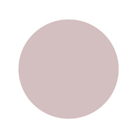 プリジェル ミューズ フィットスキン PGU-S373 3g