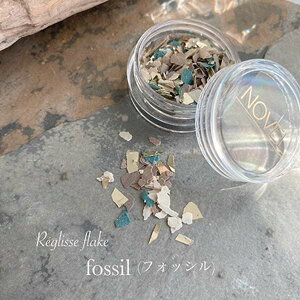 NOVEL Reglisse flake fossil