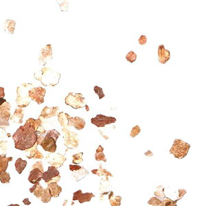 B.N. }CJt[N XeBS[h~bNX MICA2