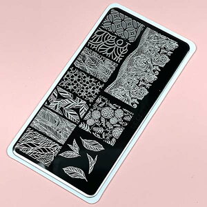 ACXWF ^v[g {^jJ AP14