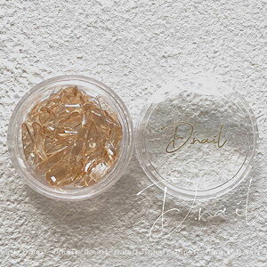 D.nail V[X[ACXXg[ PT-08 Vp