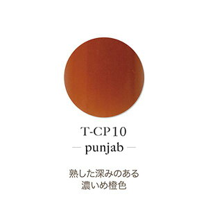 TOY's × INITY �A�N�����p�E�_�[ �A�����f���[�R���N�V���� �p���W���u T-CP10 7g