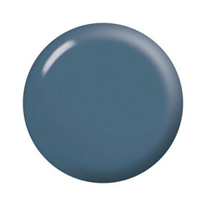 NWF J[ BLT20 ripped jeans bvhW[Y 3.5g