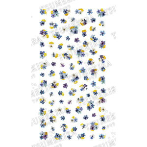 cL ynoblezhCt[Ƌ3 u[ NO-DFG-003(WFp)