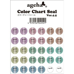 ageha(AQn) J[`[gV[ Ver.4.5