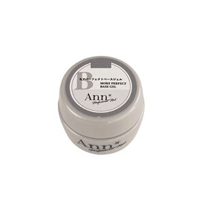 Ann Professional Ap[tFNgx[X 4g