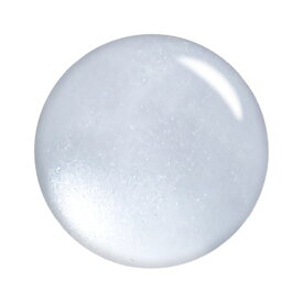T-GEL カラージェル MG-SS001 マグネット シルキークリア 4ml