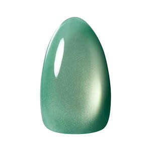 KOKOIST(�R�R�C�X�g) �e���}�O�l�b�g TM-54 �A�N�A�O���[ 10g