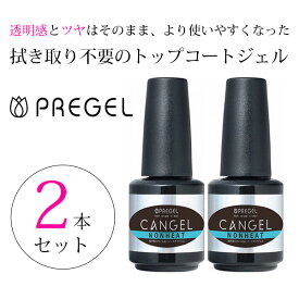 プリジェル PREGEL ノンワイプクリア キャンジェル ノンヒート 14g 2本セット お得 ジェルネイル トップジェル クリアジェル ノンワイプ 新品 送料無料