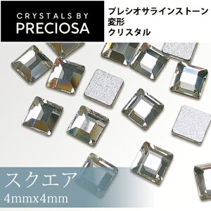 yPRECIOSAzvVIT CXg[ XNGA 4mm [NX^] 24P 