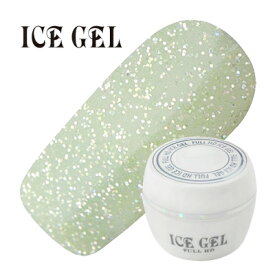 ジェルネイル カラージェル ICE GEL アイスジェル カラージェル FE-100 3g