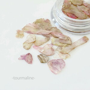 Bonnail AQ[gt[N g} 1.5g