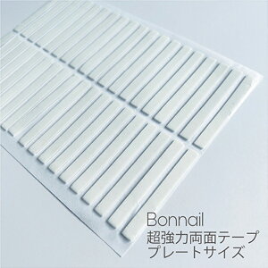 Bonnail ͗ʃe[v v[gTCY