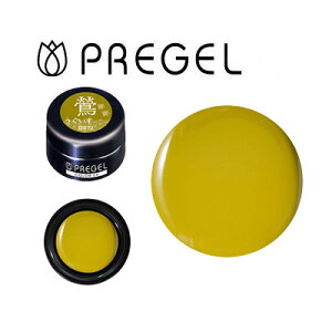 WFlC Zt J[WF vWF@J[EX@a̐FV[Y@ij@PG-CE872@3g