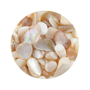 lCp[c Xg[ GveB@i`Xg[iNAP[Xj@B216@TS~bNXB