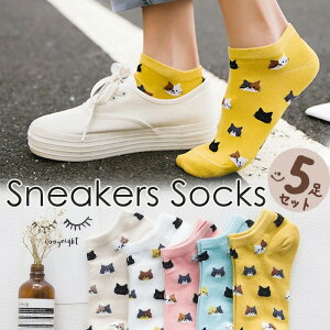 C 5Zbg L C \bNX Xj[J[\bNX  lR Ԃ 킢Ԃ\bNX fB[X Zbg V[g\bNX C AN  Z J[ _炩 