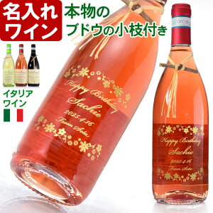  C y {̃uhȄ}t Iׂ [   C z v[g a җj ސEj j O ꒤  Mtg  v[g C 750ml 