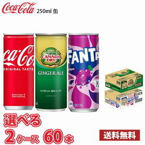 yIׂ2P[Xz RJER[ WW[G[ t@^O[v 250ml  60{ i2P[Xj 1{69.5~ !!(kCʓr700~Aꌧzs)