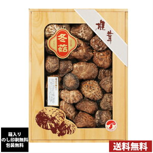 Y؊őǂ񂱃Mtg@7640-075@S@ÂA@j o TԂ Cj j z Ԃ j e{@@Ε