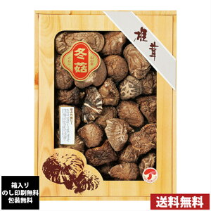 Y؊őǂ񂱃Mtg@7640-083@S@ÂA@j o TԂ Cj j z Ԃ j e{@@Ε