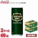 コカ・コーラ カナダドライ ジンジャーエール 250ml 缶 60本 （2ケース） 1本当たり69.5円 送料無料!!(北海道別途700円、沖縄県配送不可)