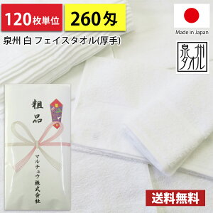 yz ^I ei^I Y { 260摍pC ̂ ei N^I 120P