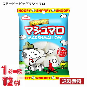 GC Xk[s[rbO}V} 65g 12ܓ 1P[X (kC͕ʓr700~܂Bzs)