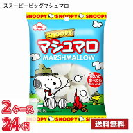 エイワ スヌーピービッグマシュマロ 65g 1ケース12袋入り（2ケース合計24袋） 送料無料(北海道は別途700…