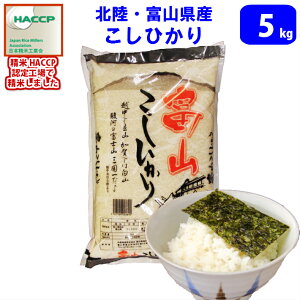 yߘa7NY@VāzyāzkExRYЂ(̖~)5kg@!!(kC͕ʓr700~܂Bzs)