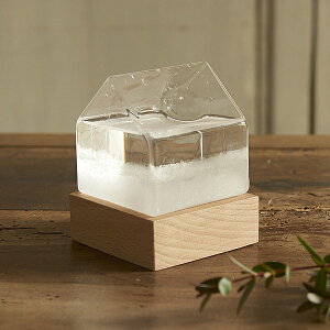  Xg[OX nEX Fun Science Mtg ObY l 킢 G  NX}X LOi v[g zCgf[ ގ ޏ Jbv a ̓ ̓ a vw 