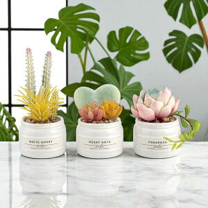  GNA A[eBtBVO[ pXe JƏj JXj ̓ ̓ hV̓ j  CeA  NX}X a v[g