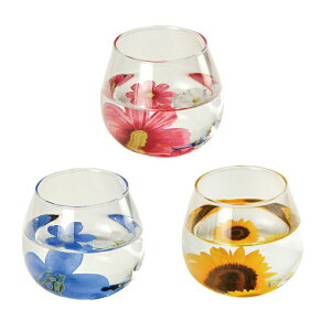  FLORA OX RXX Ђ܂ u[X^[ j LO i ̓ ̓  CeA  NX}X a v[g