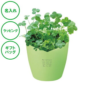  bL[N[o[Zbg ͔|Lbg N[o[  n[g NX}X LOi bsO MtgobO v[g zCgf[ ގ ޏ Jbv a ̓ ̓ a