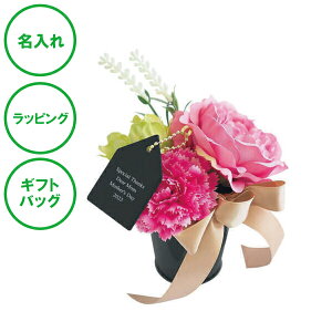 名入れ CT触媒 カーネーション S ブラック ポット 送料無料 造花 空気 きれい ラッピング ギフトバッグ プレゼント クリスマス ホワイトデー 開店祝い 出産祝い 彼女 誕生日 母の日 敬老の日