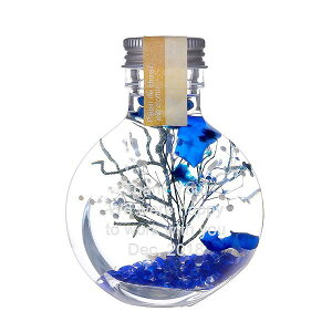 名入れ プリザーブドフラワー ハーバリウム S ブルー ピンク グリーン 送料無料 ガラス ラッピング ギフトバッグ プレゼント クリスマス 彼氏 彼女 カップル 誕生日 父の日 母の日 誕生日 夫