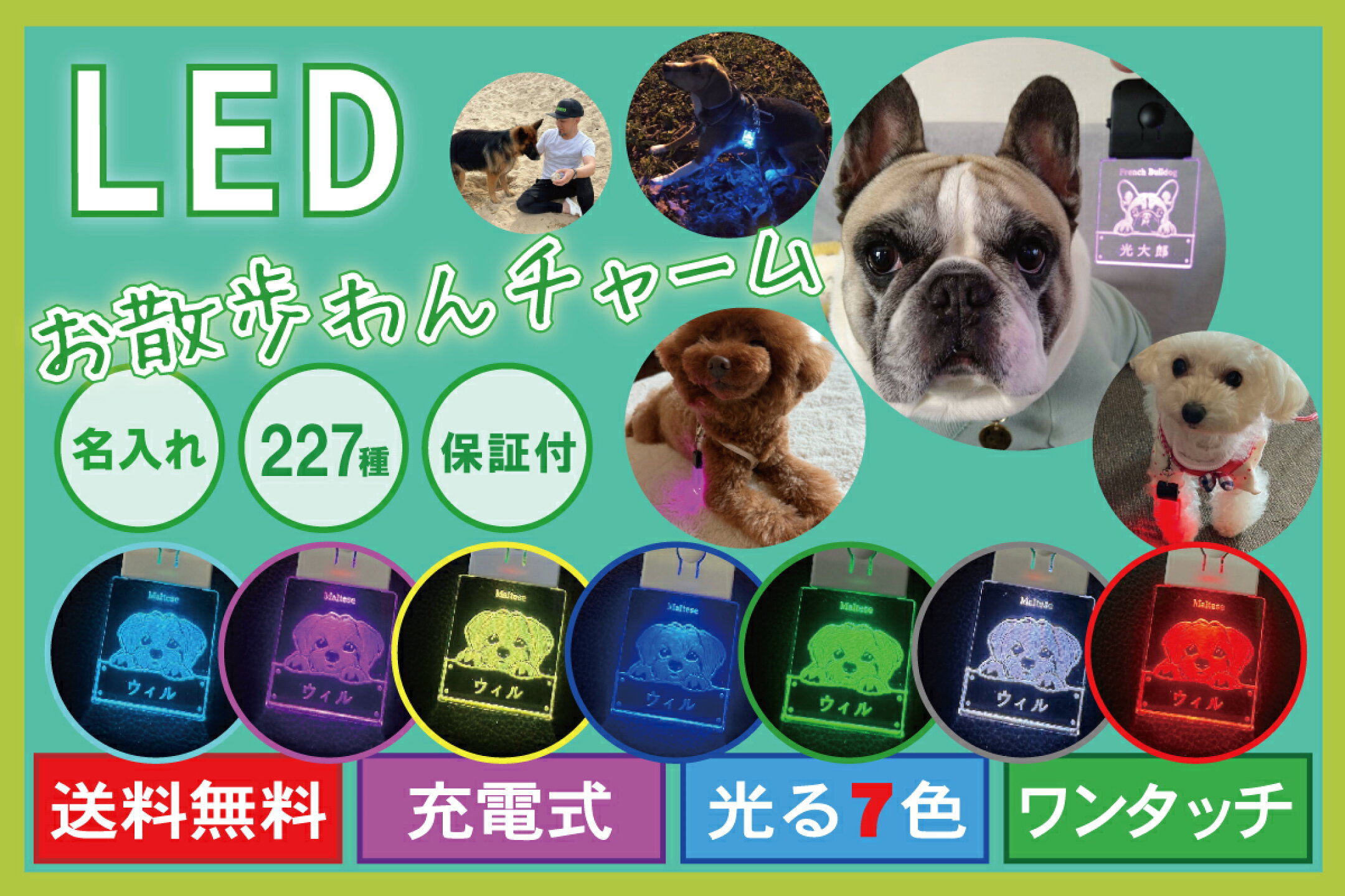 LEDお散歩わんチャーム