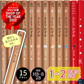 名入れ鉛筆 卒園 記念 小学校 入学準備 赤・赤青鉛筆入り 12本1ダース セット ピタリ モクメ 鉛筆 えんぴつ 名前 名入り 名前入り なまえ 名入れえんぴつ 鉛筆名入れ ギフト プレゼント 卒業 卒園 入学 入園