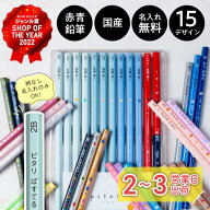 名入れ鉛筆 卒園 記念 小学校 入学祝い ピタリ パステル マット メタリック 赤・赤青鉛筆入り 12本1ダー…