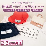 【最大400円OFFクーポン】布にアイロン無しで貼れる！ ゼッケン 布用 大きな お名前シール ノンアイロン …