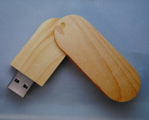 �ؐ�USB 16GB ������T�[�r�X